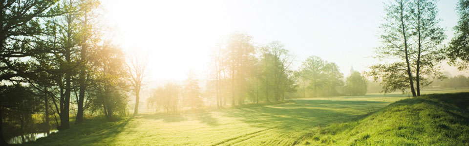 slider_1