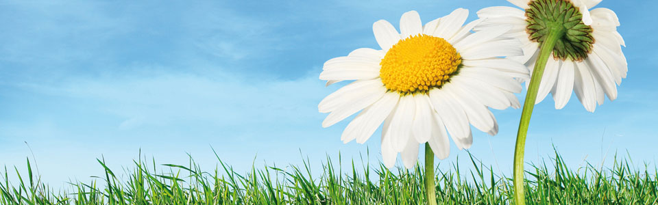 slider_5